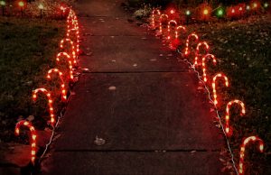 Read more about the article Christmas Landscaping To Make Your Season Bright!