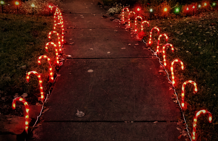 Read more about the article Christmas Landscaping To Make Your Season Bright!