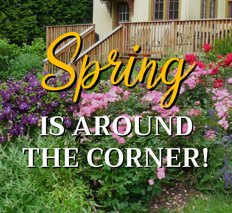 You are currently viewing Spring is Around The Corner! 🌷