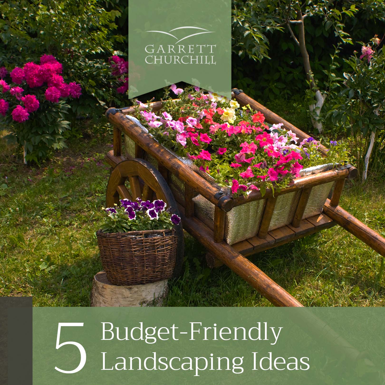 You are currently viewing 5 Budget-Friendly Landscaping Ideas