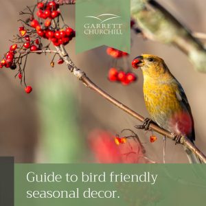 Read more about the article A Guide to Bird-Friendly Seasonal Décor