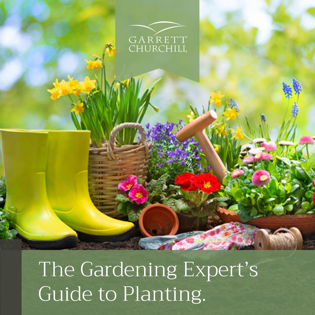 You are currently viewing The Gardening Expert’s Guide to Planting