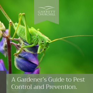 Read more about the article A Gardener’s Guide to Pest Control and Prevention