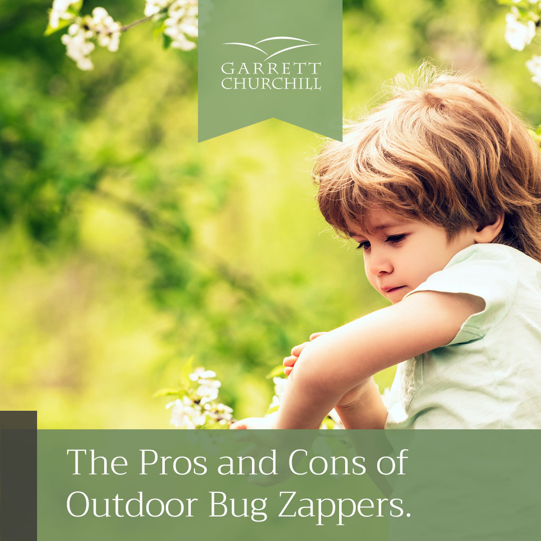 You are currently viewing The Pros and Cons of Outdoor Bug Zappers