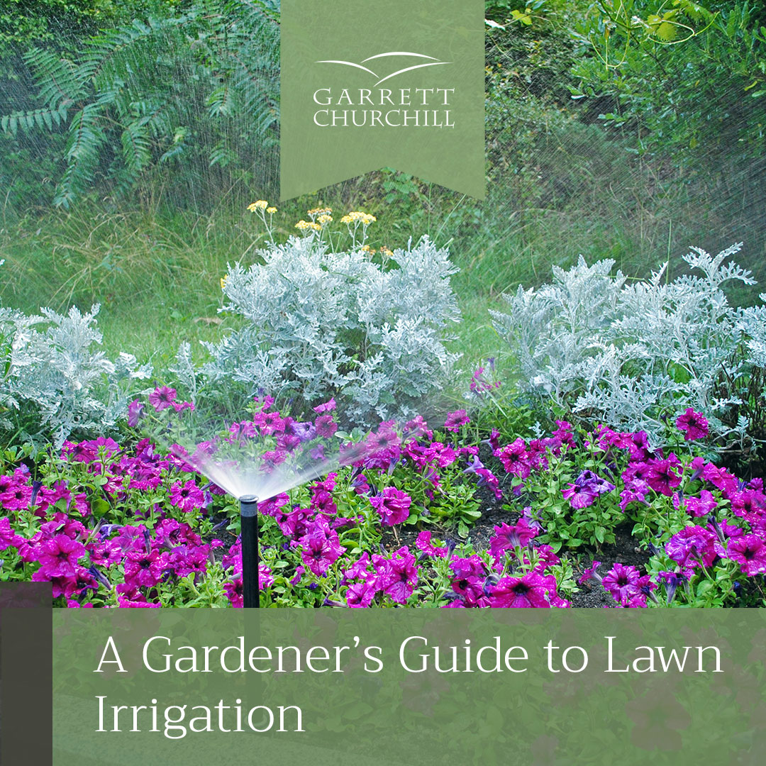 You are currently viewing A Gardener’s Guide to Lawn Irrigation