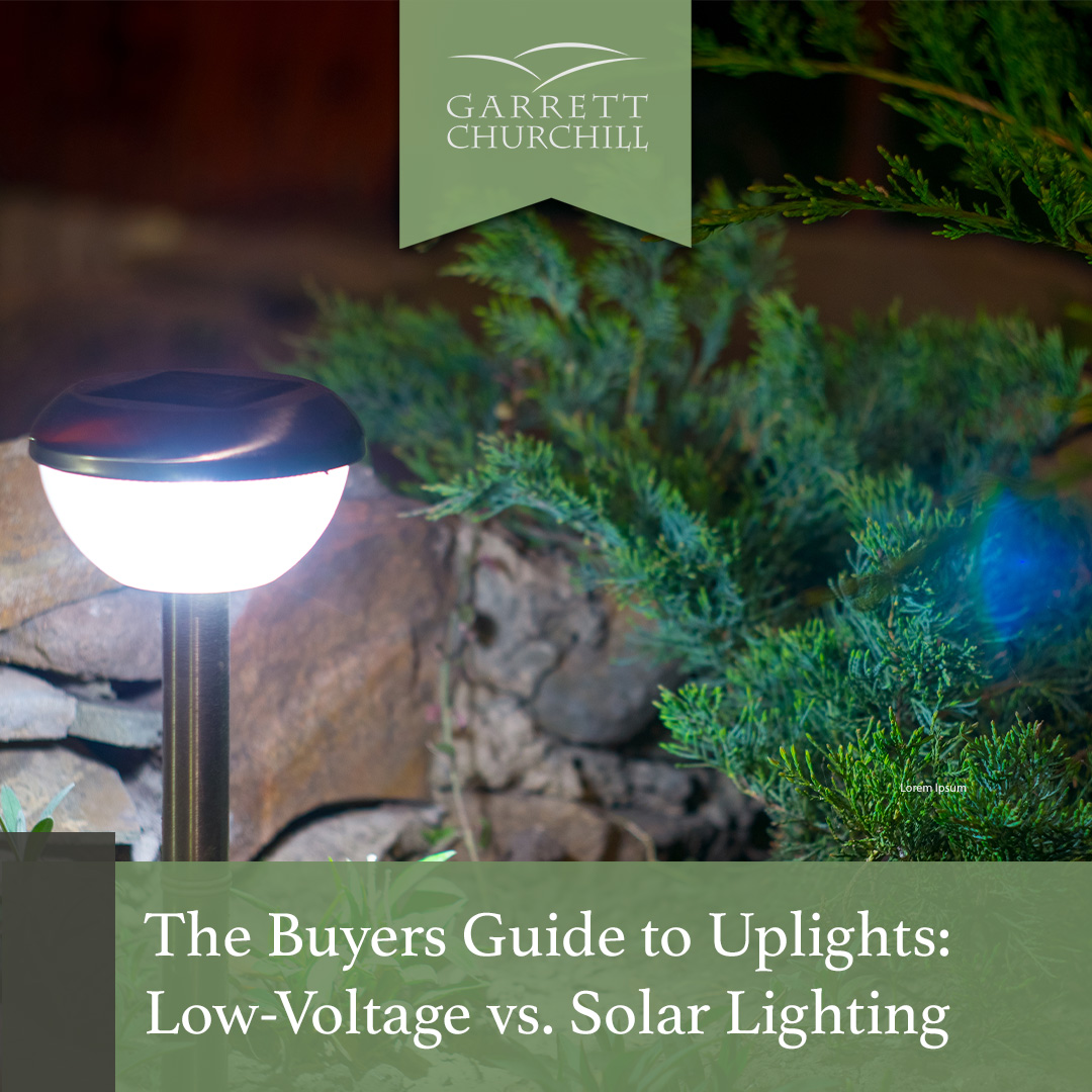 You are currently viewing The Buyer’s Guide to Uplights: Low-Voltage vs. Solar Lighting