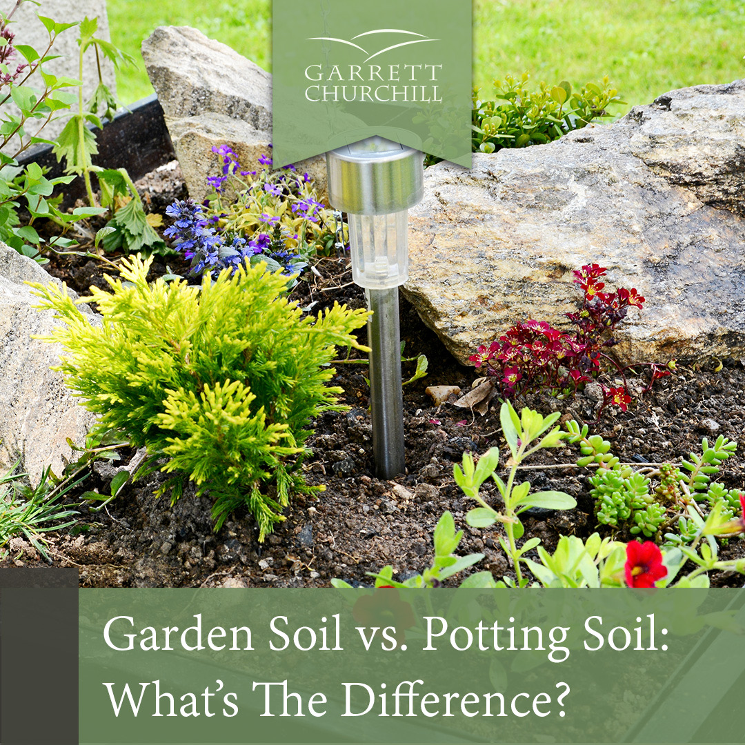 You are currently viewing Garden Soil vs. Potting Soil: What’s the Difference?
