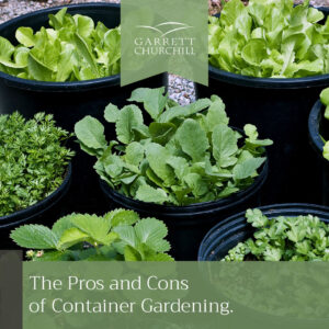 Read more about the article The Pros and Cons of Container Gardening
