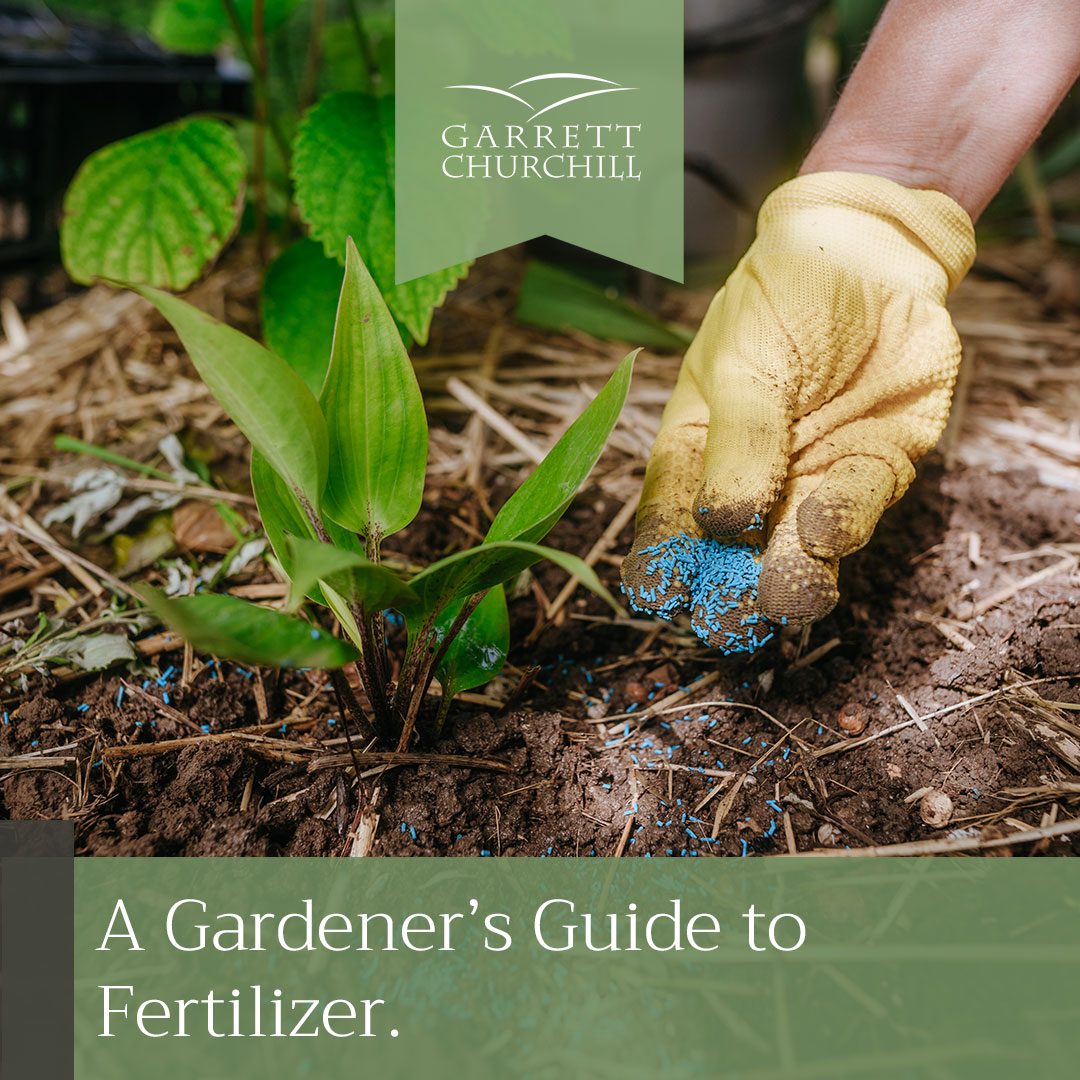 You are currently viewing A Gardener’s Guide to Fertilizer