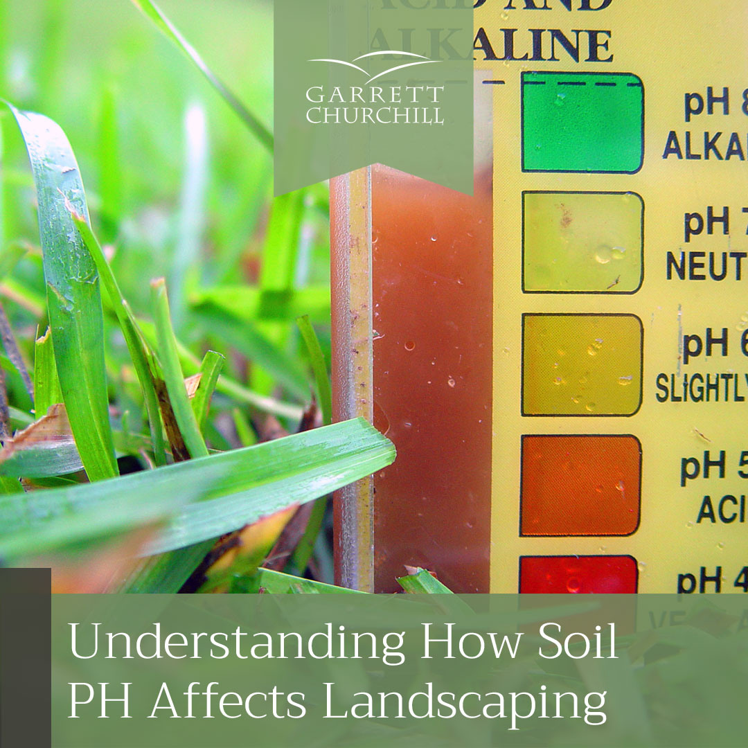 Read more about the article Understanding How Soil pH Affects Landscaping
