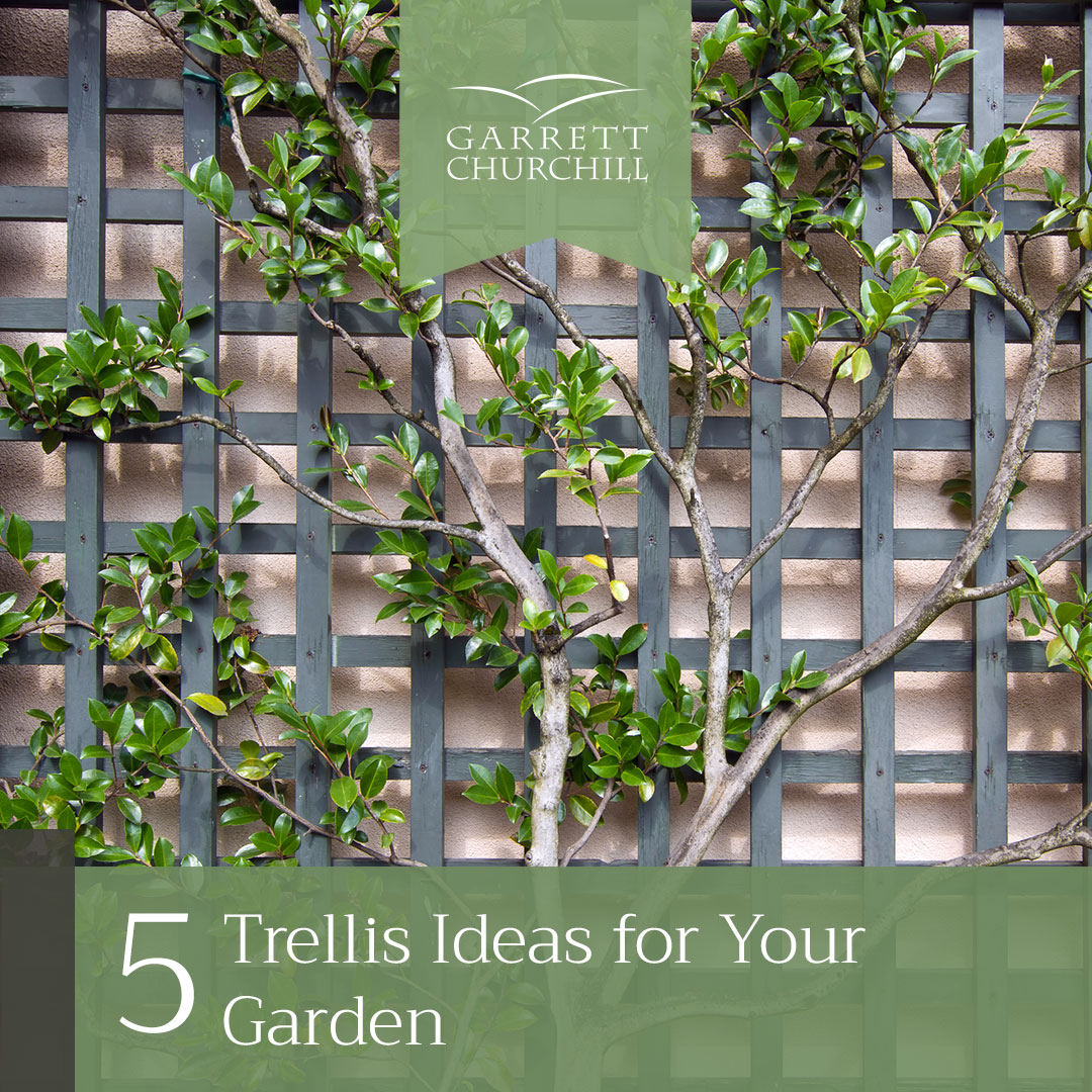 You are currently viewing 5 Trellis Ideas for Your Garden
