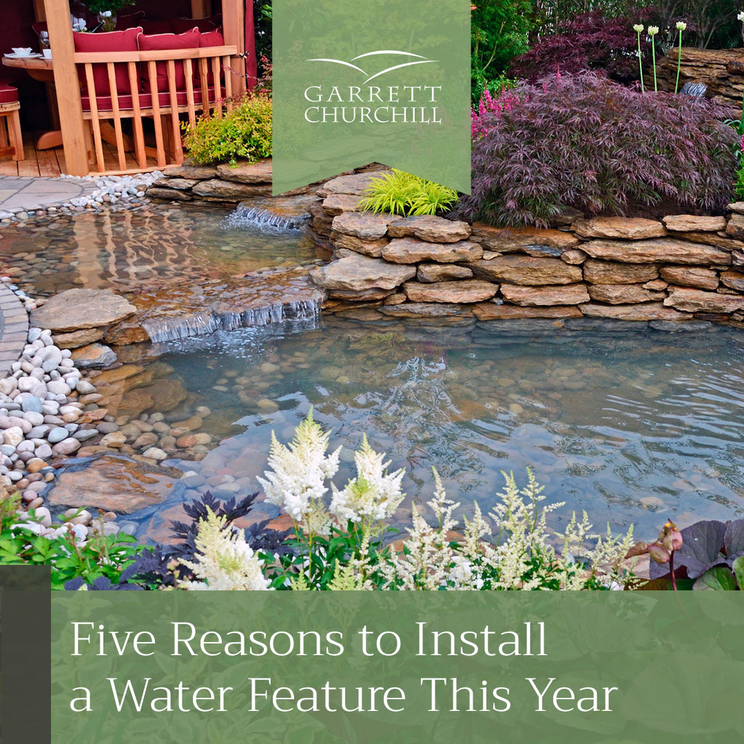 You are currently viewing Five Reasons to Install a Water Feature This Year