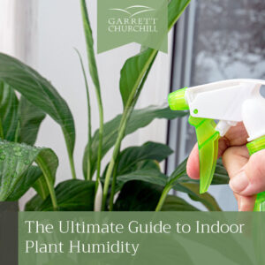 Read more about the article The Ultimate Guide to Indoor Plant Humidity