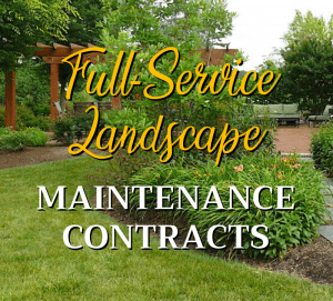 Full Service Landscape