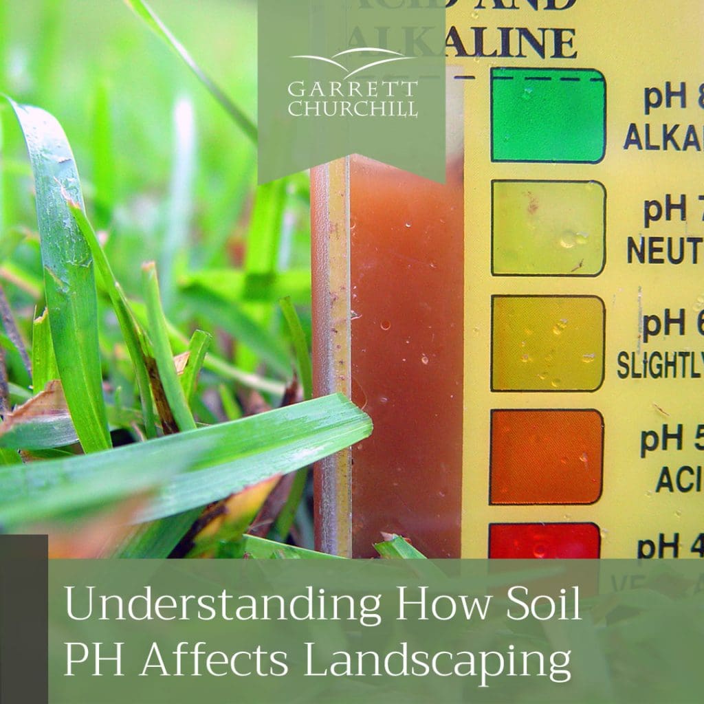 Understanding How Soil pH Affects Landscaping