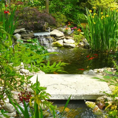 Wyndmoor, PA Landscaping Services
