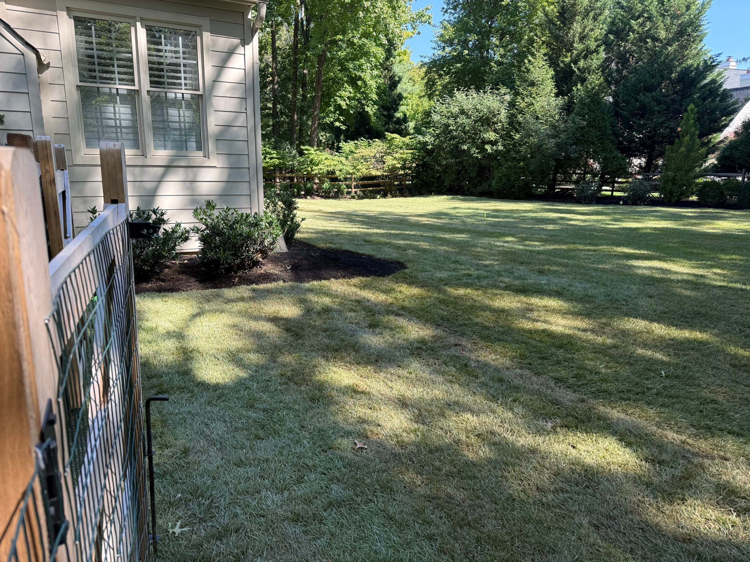 After sod