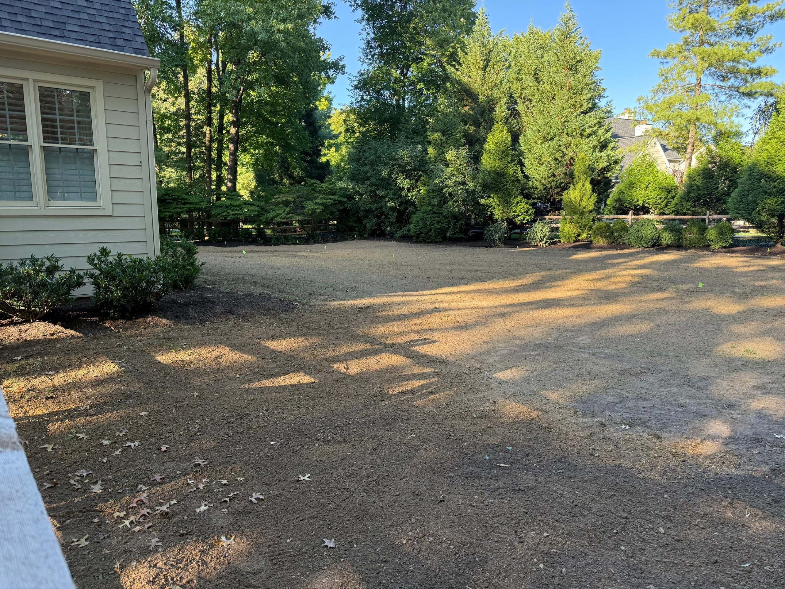 BeFore Sod