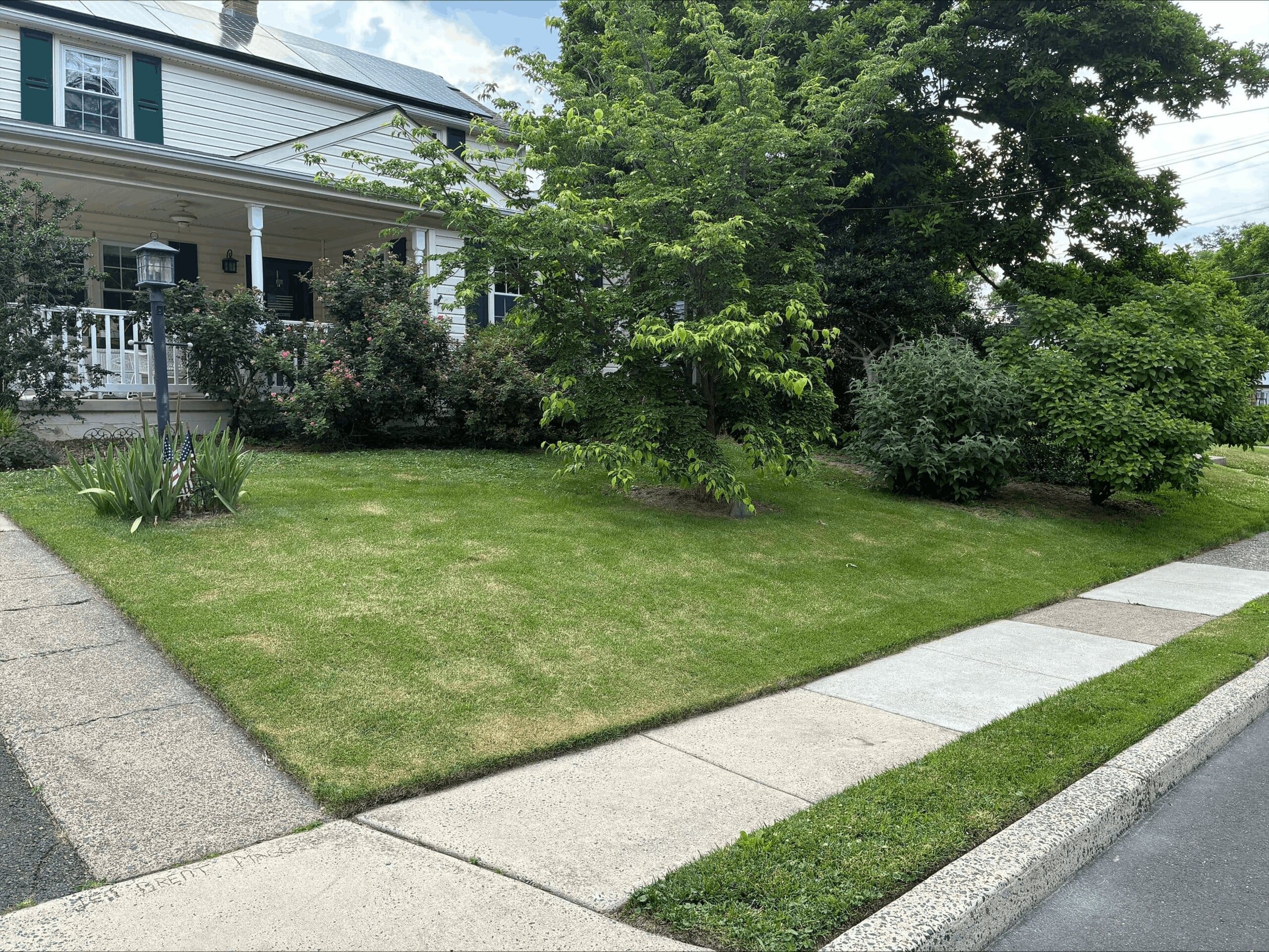 Before Photo