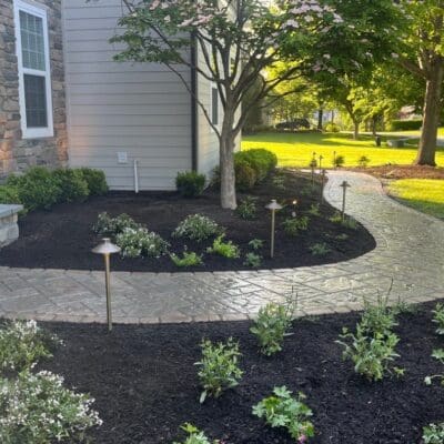 Front walkway landscape lighting palnting
