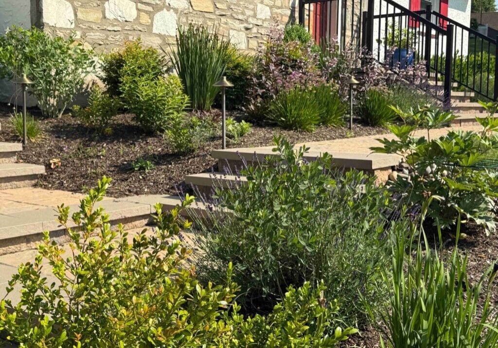 Glenside, PA - Landscape Installation