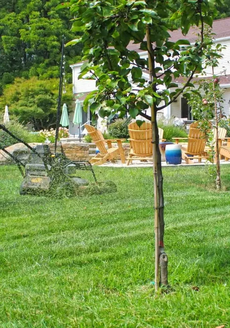 Landscaping-Services-Gwynedd-Valley-PA