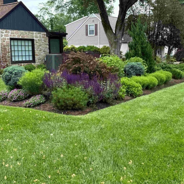 Spring House, PA Landscape Maintenance