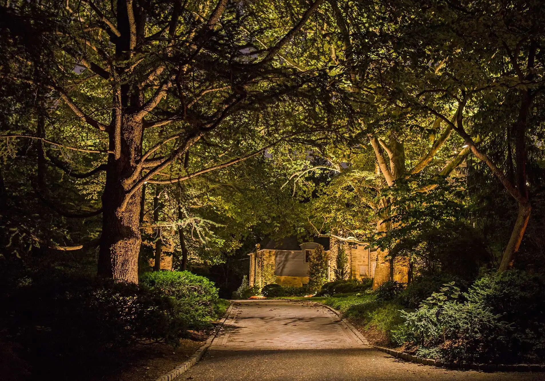 landscape-lighting-gladwyne-pa